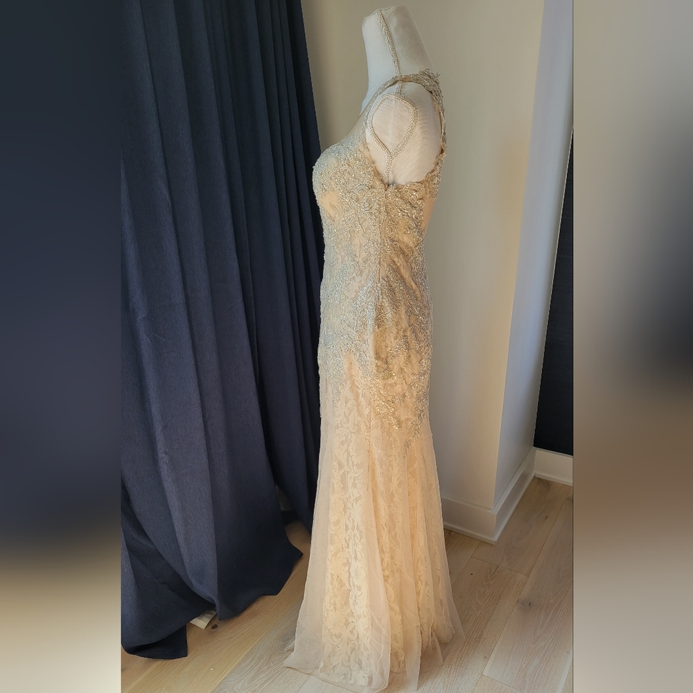 DAVIDS BRIDAL | Champagne Lace Beaded Dress - Picture 10 of 16
